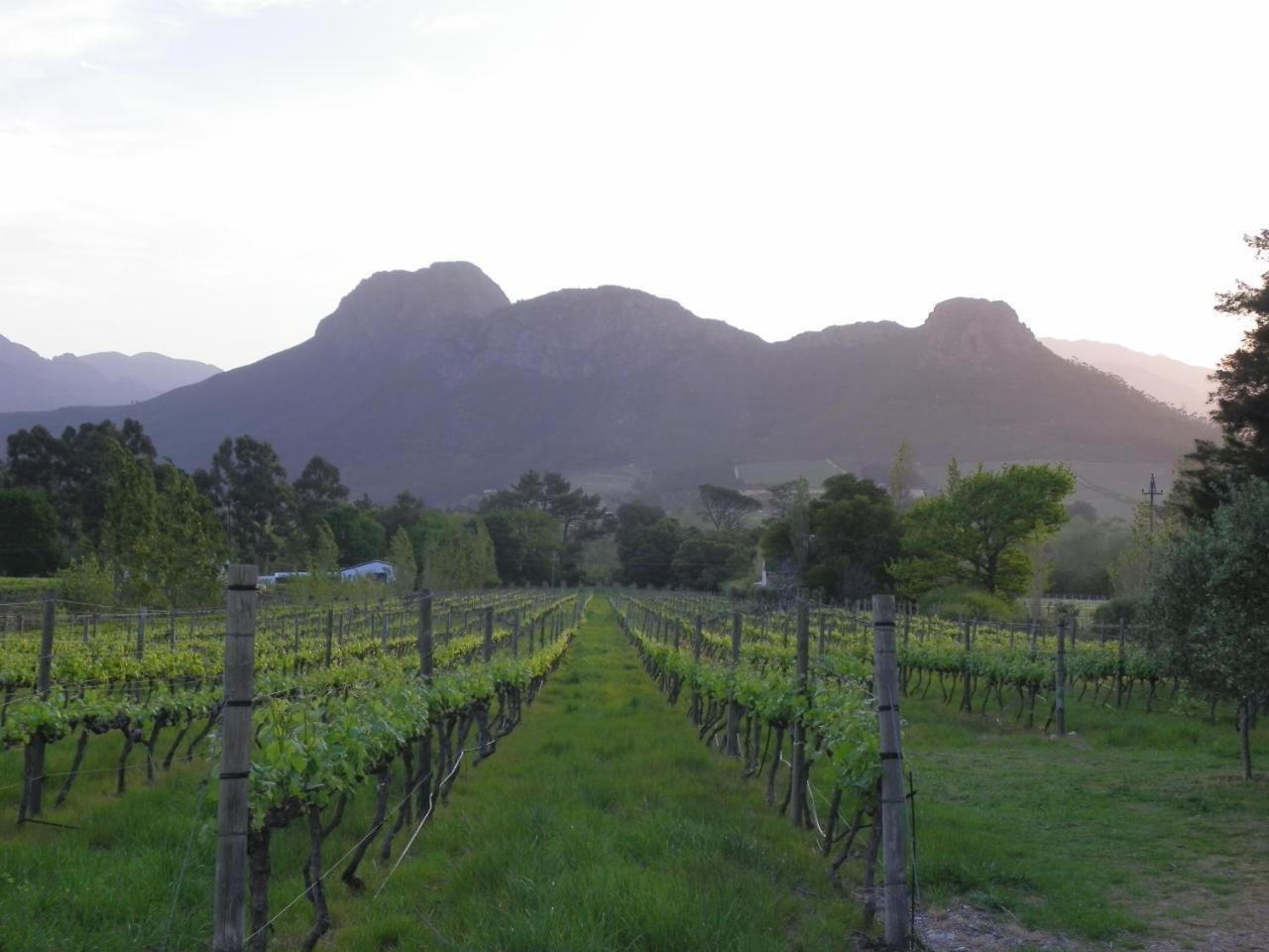 Franschhoek Rose Cottages Extérieur photo